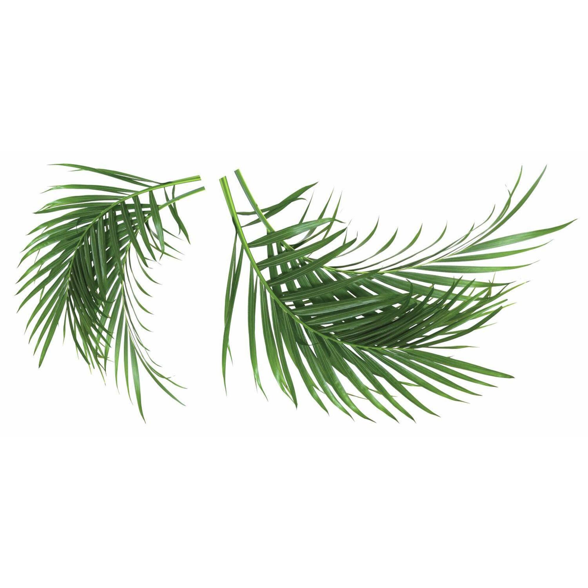 RoomMates Palm Leaf Peel & Stick Giant Wall Decals